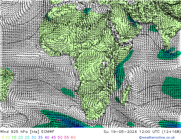 Wind 925 hPa ECMWF zo 19.05.2024 12 UTC