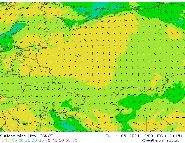 Surface wind ECMWF Út 14.05.2024 12 UTC