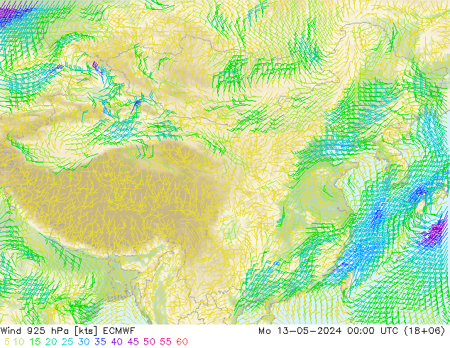 风 925 hPa ECMWF 星期一 13.05.2024 00 UTC