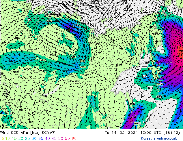 Wind 925 hPa ECMWF di 14.05.2024 12 UTC