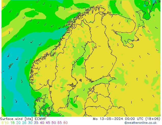 风 10 米 ECMWF 星期一 13.05.2024 00 UTC
