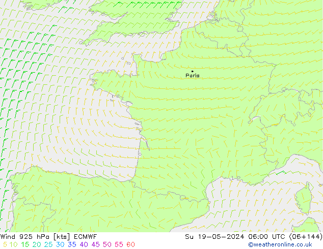 Rüzgar 925 hPa ECMWF Paz 19.05.2024 06 UTC