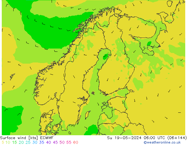 Surface wind ECMWF Su 19.05.2024 06 UTC