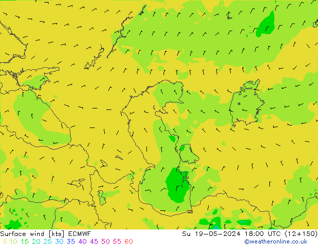 Wind 10 m ECMWF zo 19.05.2024 18 UTC