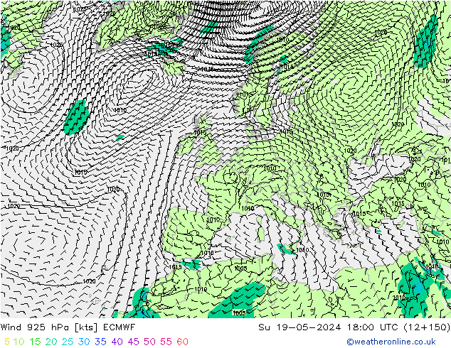 Wind 925 hPa ECMWF So 19.05.2024 18 UTC