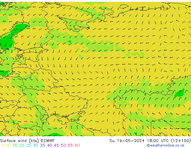 Surface wind ECMWF Su 19.05.2024 18 UTC