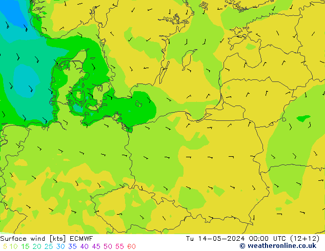 Surface wind ECMWF Tu 14.05.2024 00 UTC