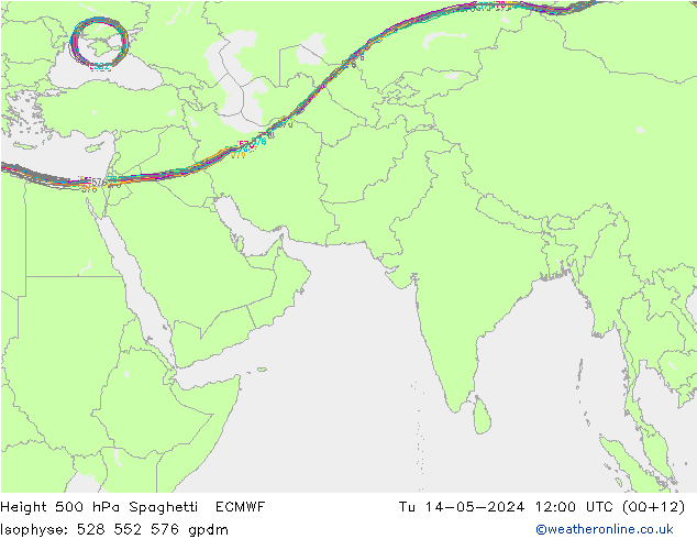 Height 500 hPa Spaghetti ECMWF 星期二 14.05.2024 12 UTC
