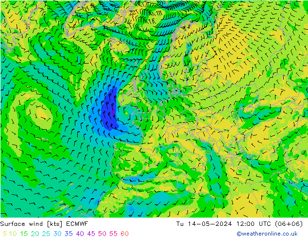 风 10 米 ECMWF 星期二 14.05.2024 12 UTC