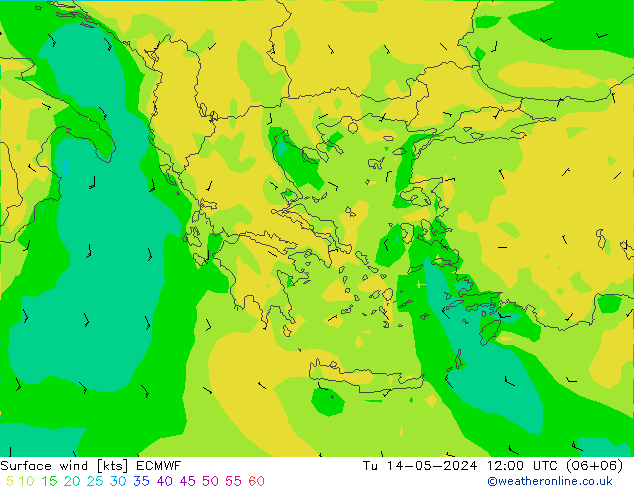 Surface wind ECMWF Tu 14.05.2024 12 UTC