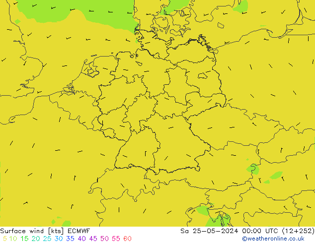 Bodenwind ECMWF Sa 25.05.2024 00 UTC