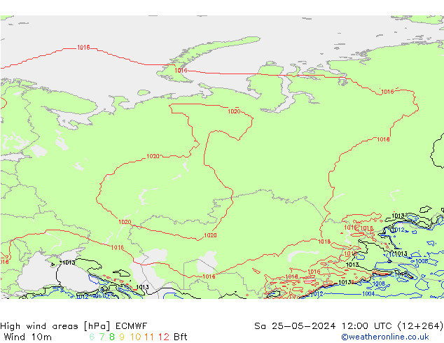 High wind areas ECMWF Sáb 25.05.2024 12 UTC