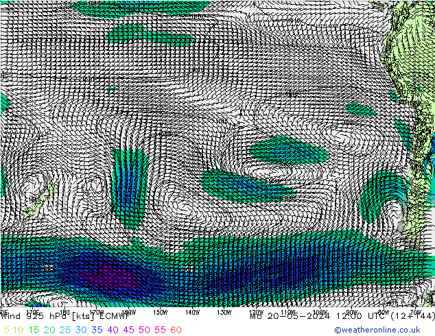 Rüzgar 925 hPa ECMWF Pzt 20.05.2024 12 UTC