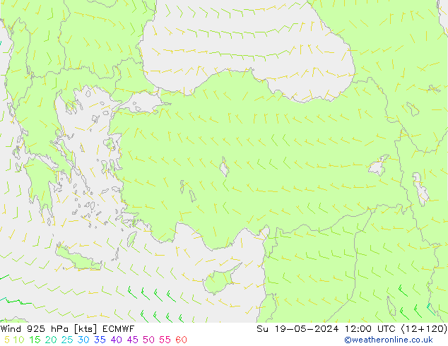 Wind 925 hPa ECMWF zo 19.05.2024 12 UTC
