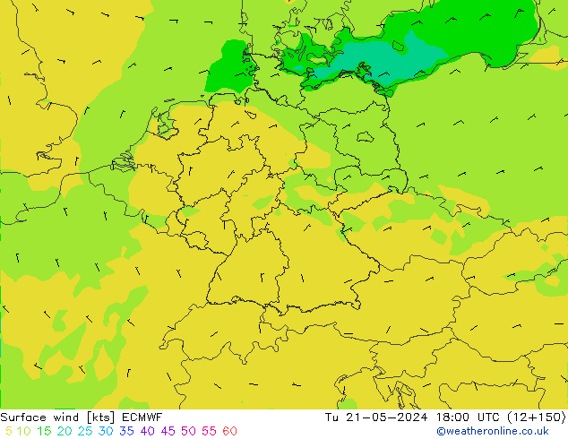 Surface wind ECMWF Tu 21.05.2024 18 UTC