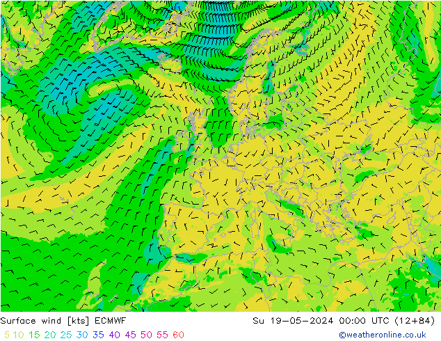 Surface wind ECMWF Ne 19.05.2024 00 UTC