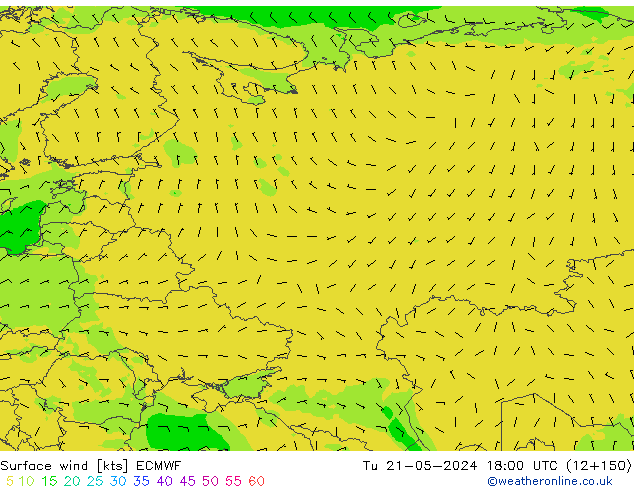 ветер 10 m ECMWF вт 21.05.2024 18 UTC