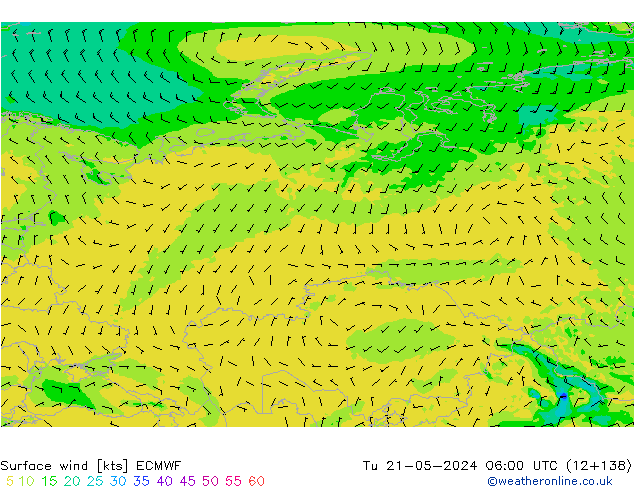 Surface wind ECMWF Tu 21.05.2024 06 UTC