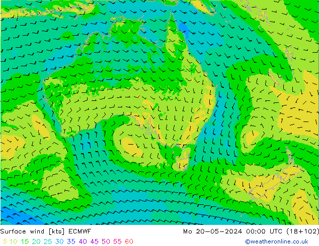 Surface wind ECMWF Mo 20.05.2024 00 UTC