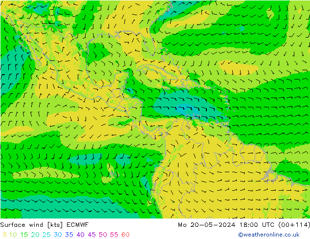 Wind 10 m ECMWF ma 20.05.2024 18 UTC