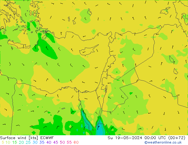 Vent 10 m ECMWF dim 19.05.2024 00 UTC