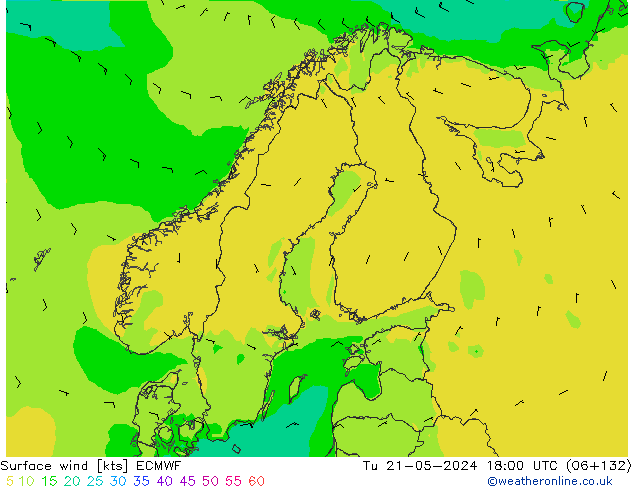 Bodenwind ECMWF Di 21.05.2024 18 UTC