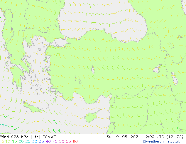 Wind 925 hPa ECMWF So 19.05.2024 12 UTC