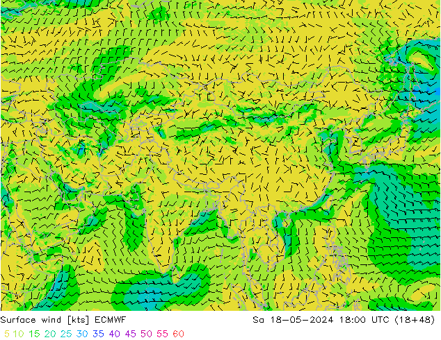 Surface wind ECMWF Sa 18.05.2024 18 UTC