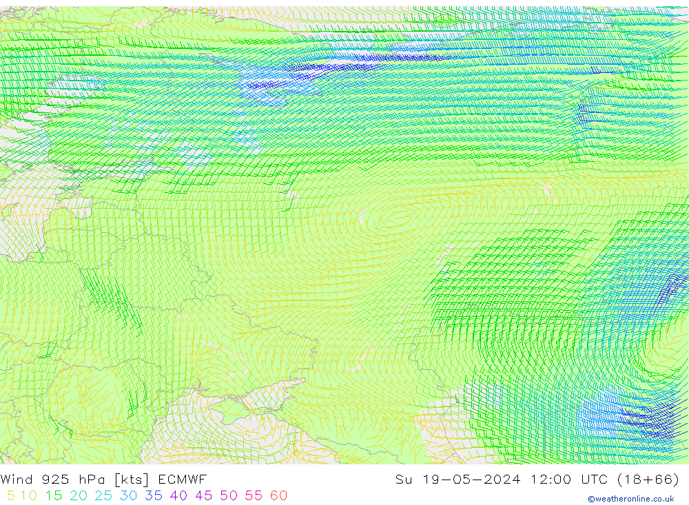 ветер 925 гПа ECMWF Вс 19.05.2024 12 UTC