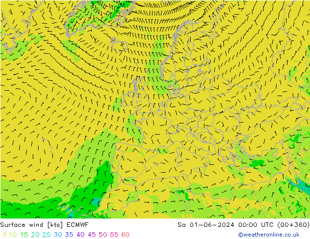 Vent 10 m ECMWF sam 01.06.2024 00 UTC