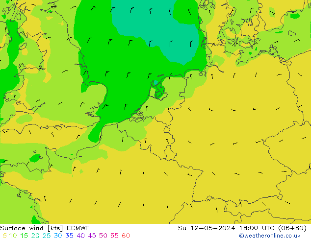Bodenwind ECMWF So 19.05.2024 18 UTC