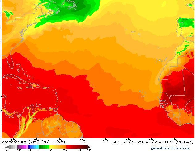 Temperatura (2m) ECMWF Dom 19.05.2024 00 UTC