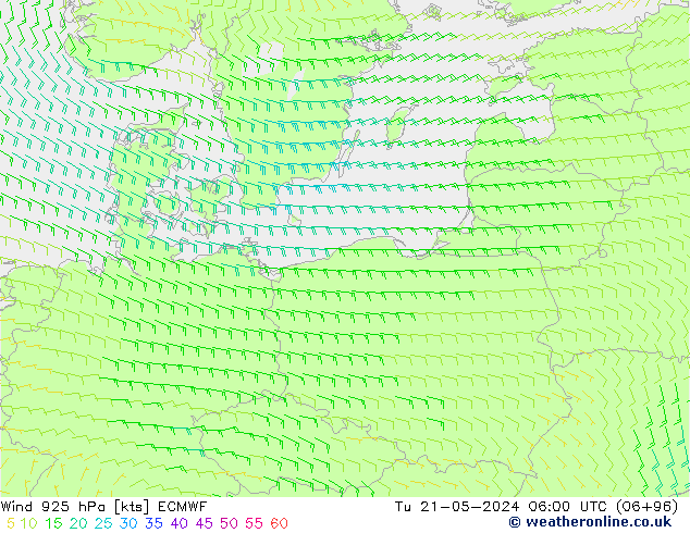 Wind 925 hPa ECMWF di 21.05.2024 06 UTC