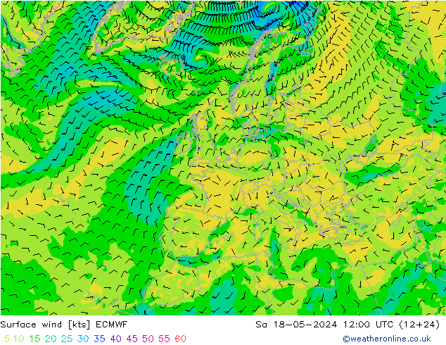 Surface wind ECMWF Sa 18.05.2024 12 UTC