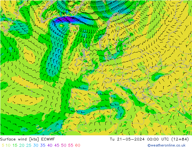 Surface wind ECMWF Tu 21.05.2024 00 UTC