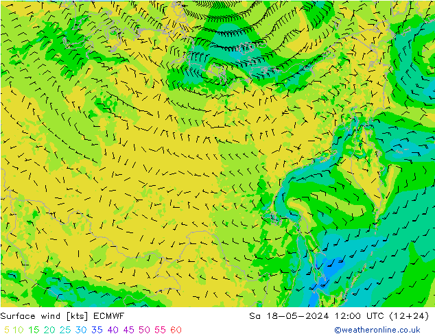 Rüzgar 10 m ECMWF Cts 18.05.2024 12 UTC