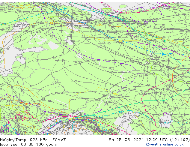 Hoogte/Temp. 925 hPa ECMWF za 25.05.2024 12 UTC