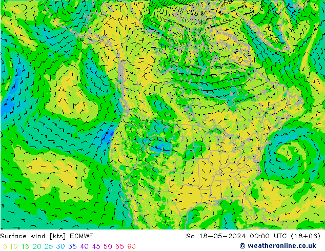 Surface wind ECMWF Sa 18.05.2024 00 UTC