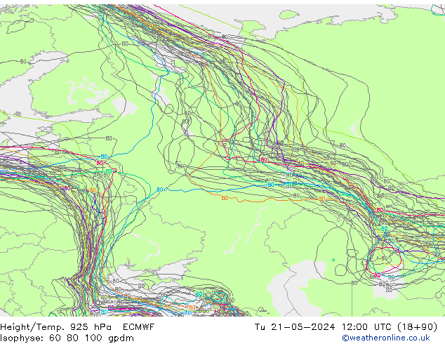 Yükseklik/Sıc. 925 hPa ECMWF Sa 21.05.2024 12 UTC