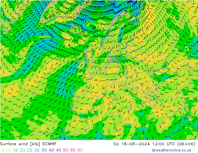 Surface wind ECMWF Sa 18.05.2024 12 UTC