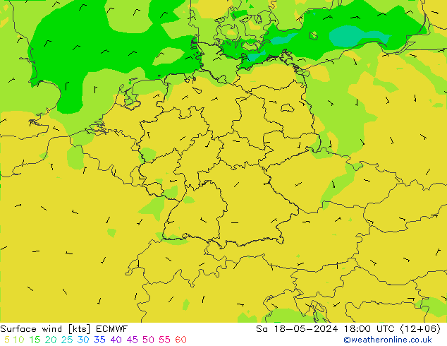 风 10 米 ECMWF 星期六 18.05.2024 18 UTC