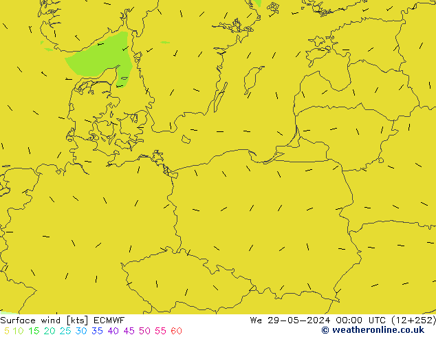 Bodenwind ECMWF Mi 29.05.2024 00 UTC