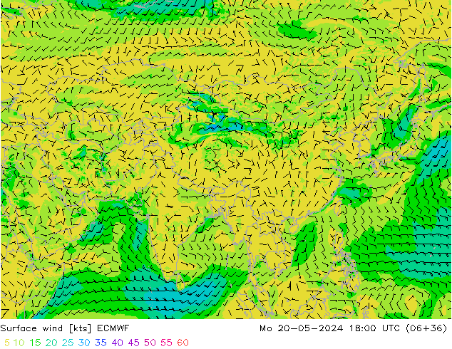 ветер 10 m ECMWF пн 20.05.2024 18 UTC