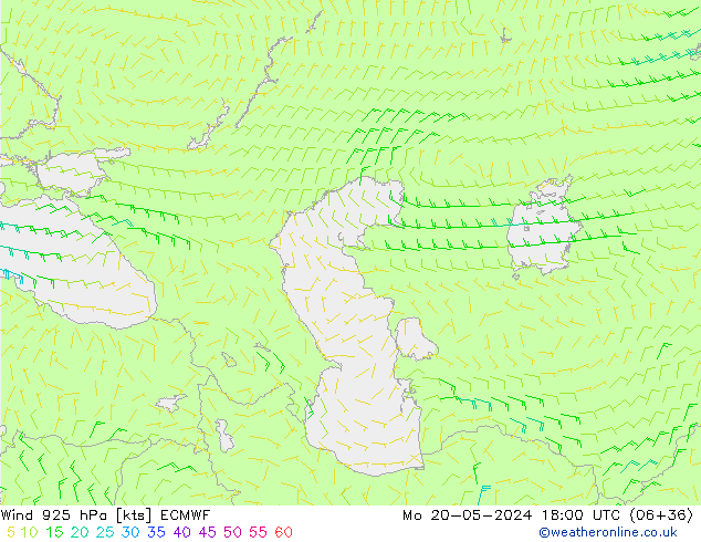 Rüzgar 925 hPa ECMWF Pzt 20.05.2024 18 UTC