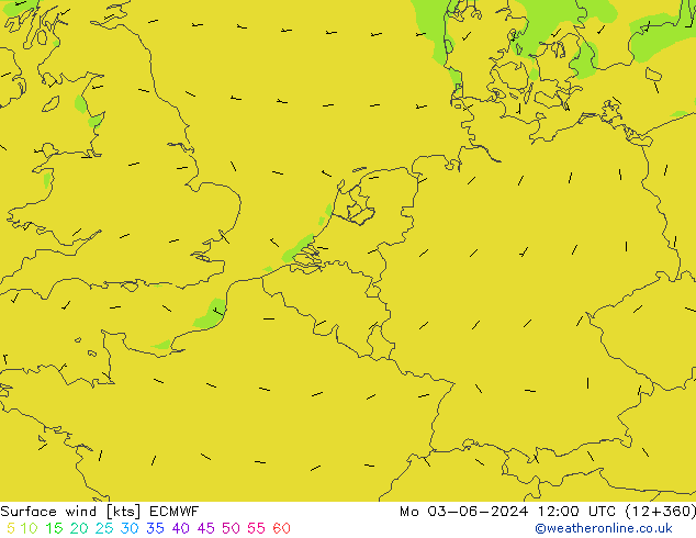 Wind 10 m ECMWF ma 03.06.2024 12 UTC