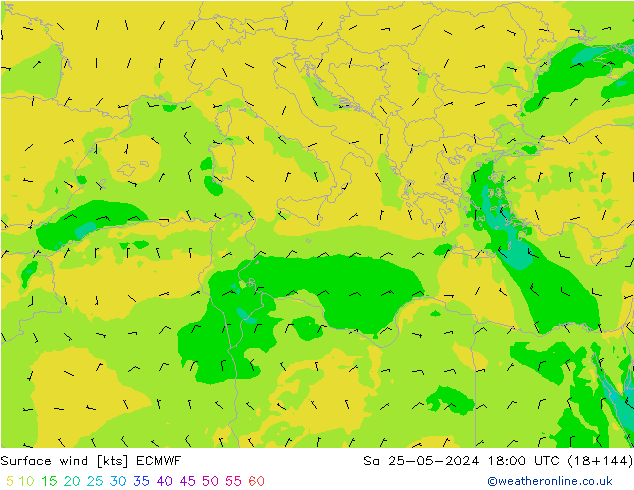 Surface wind ECMWF Sa 25.05.2024 18 UTC