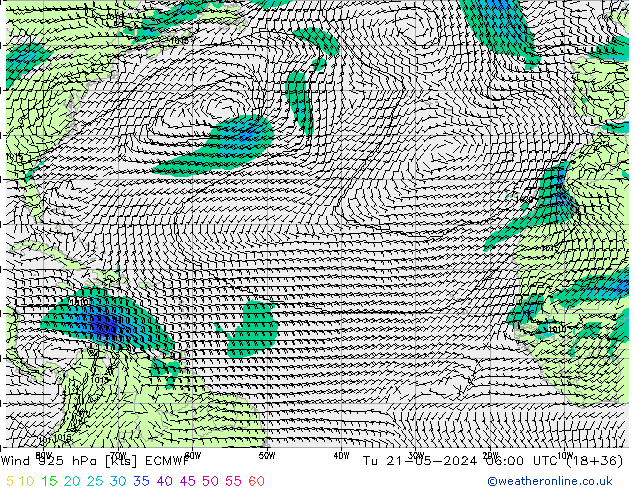  925 hPa ECMWF  21.05.2024 06 UTC