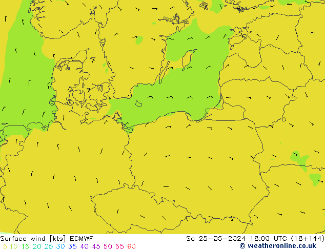 Bodenwind ECMWF Sa 25.05.2024 18 UTC