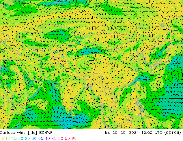 Surface wind ECMWF Mo 20.05.2024 12 UTC
