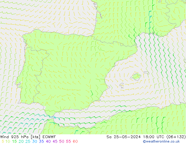 Wind 925 hPa ECMWF Sa 25.05.2024 18 UTC